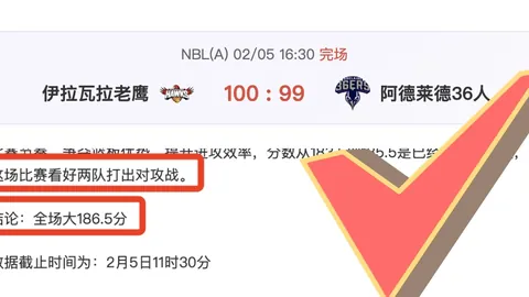 [NBA]瓦格纳绝杀建功，魔术客场逆转胜