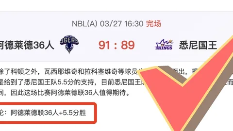 药企球迷观赛起冲突，扎卡与比勒费尔德赛后爆发争执