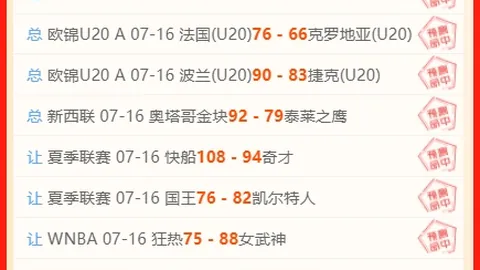 赢彩网 062432